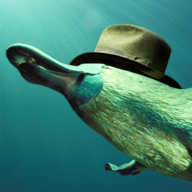 Image de profile de platypus