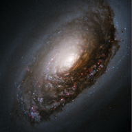 Image de profile de blackeyegalaxy